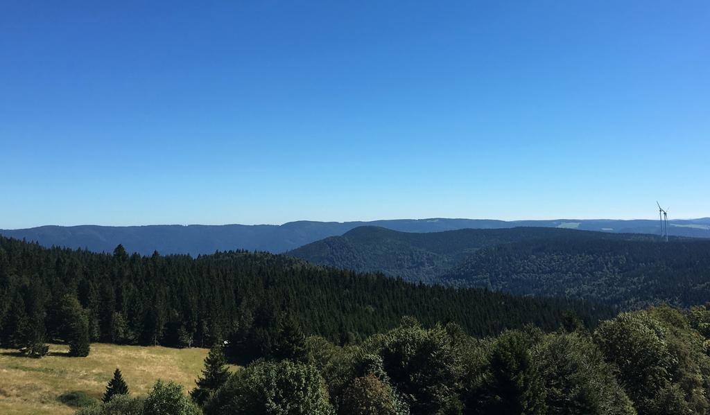 Готель Berggasthaus Kandelhof Rohr  Екстер'єр фото